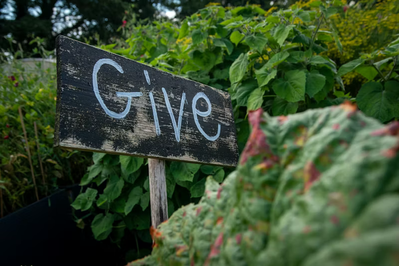 Donation Goes
